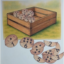 Hraní s oříšky