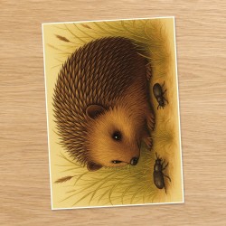 Podzim v přírodě